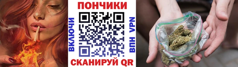 Бошки Шишки гибрид  Купить закладки  Новоржев 
